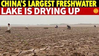 China’s Largest Freshwater Lake Is Drying Up Just Three Months After a Dam Breach