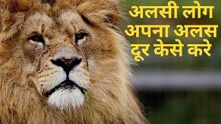 अलसी लोग अपना अलस दूर केसे करे  How can linseed people remove their alas?