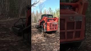 Underbrush Forest Fire Mitigation