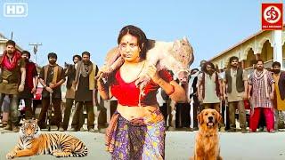 Pooja Gandhi HD- New Blockbuster Full Hindi Dubbed Action Movie  New Love Story Movie