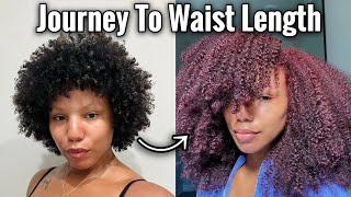 Big Chop Diaries  How To Grow Waist Length Natural Hair