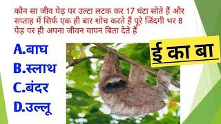 CTET July 2023 - ई का बा ? previous year question by S MANI Academy