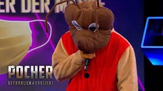 Pocher-Version von The Masked Singer Wer steckt unter dem Kostüm?  Pocher - gefährlich ehrlich