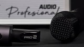 Micrófono PRO-2 - SB PRO Audio profesional