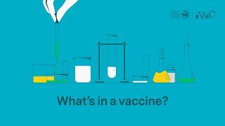 What’s in a vaccine?