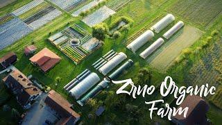 BREATHTAKING Farm Pioneering Organics in Croatia
