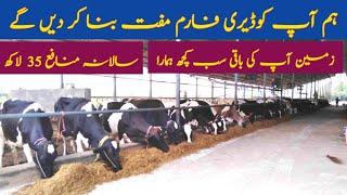 Reality of free offer of dairy farm  Dairy Farming fraud  Dairy Farming Scam?  Abdul Wahid Khan