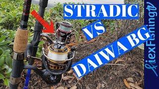 Daiwa BG Vs Shimano Stradic CI4