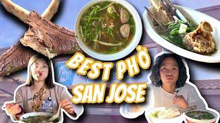 ULTIMATE VIET FOOD TOUR in San Jose CA Part 3 BEST PHO EDITION  Phở Papa  Phở Đào  Phở Hà Nội