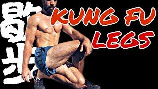 Strong Knees and Ankles with THIS Kung Fu Stance  XieBu