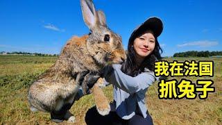 How many rabbits can a Sichuan girl catch in France with 3 rabbit traps?  Hunting  France 