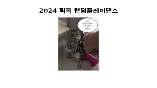 2024 틱톡 랜덤플레이댄스랜플랜덤플레이댄스틱톡틱톡랜플20232024최신곡