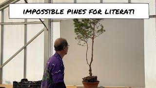 Impossible Pines for Literati