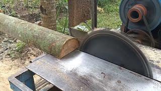 operator the process of sawing waru Wood using a serkel machine is fast and accurate by a profesiona