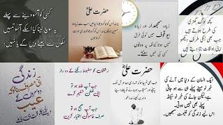 Best Urdu Quotes  Urdu Islamic Quotes  Best Quotes About Life  True lines  Motivational Quotes