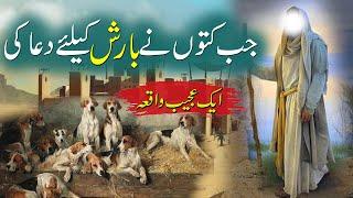 Urdu Sachi Kahani  Jab Kutton Ne Barish Ke Lye Dua Ki  When Dogs Pray For Rain  Rohail Voice