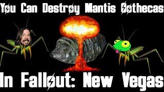 You Can Destroy Mantis Oothecas In Fallout New Vegas