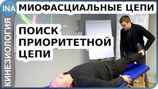 Миофасциальные цепи. Поиск приоритетной цепи. Прикладная кинезиология