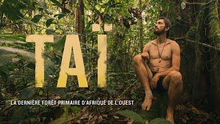 TAÏ - 33 jours de Survie dans la dernière JUNGLE PRIMAIRE dAfrique de lOuest Le film