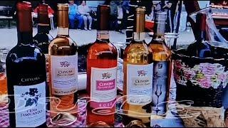 SAJAM MEDA I VINA17-ti međunarodni sajam meda i vina11.i 12 maj 2024.#vino#sajam#med#degustacije