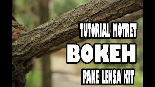 Tutorial Motret Bokeh Pake Lensa Kit 18 - 55 mm INDONESIA