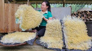 How To Grow Mung Bean Sprouts with Bamboo basket - Harvest After 5 Days Go To Market Sell  Cooking