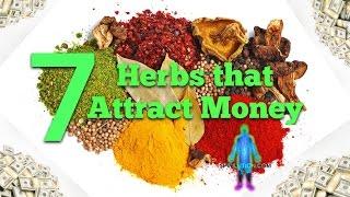 Attract Money Fast 7 Herbs That Attract Money Fast