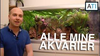 Akvarietur - Alle mine akvarier