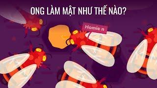 Ong làm mật như thế nào?