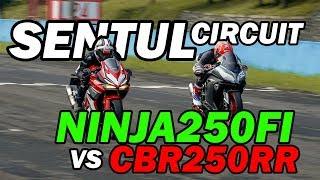 Hampir Nabrak Biawak - CBR250RR vs Ninja250FI - SENTUL INTERNATIONAL