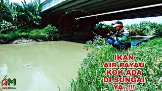 Mancing di jembatan dekat Kualanamu ‼️ kok bisa strike ikan air payau   EPISODE 144