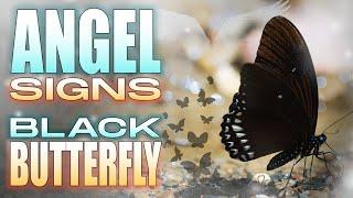 Butterfly Meanings - The Secrets of a Black Butterfly