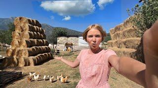 Нам привезли тонну сена Показываю обычный фермерский двор в Турции. Жизнь в глухой горной деревне.