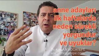 Anne adayları gebeliğin ilk haftalarında neden sürekli yorgun hisseder sersem gibi olur ve uyuklar?