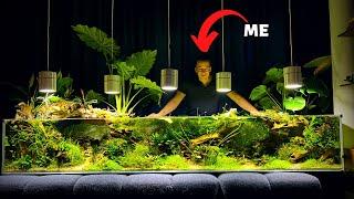 THIS 750 LITER PLANTED AQUARIUM WILL BLOW YOUR MIND