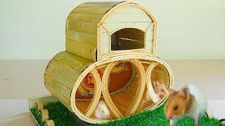 How to build a Hamster House 2024