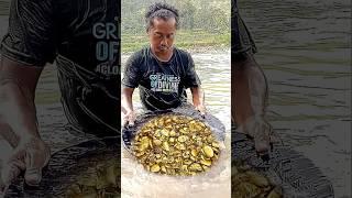 I found traces of gold metal in the river flow #gold #goldhunter  #precious metal