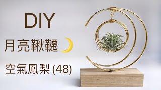 DIY wire 教你如何使用彩色鋁線製作空氣鳳梨  月亮鞦韆 How to make Aluminum wire Air plant