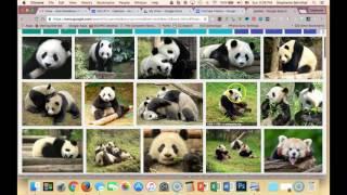 Using Google Images to Find Creative Commons Photos