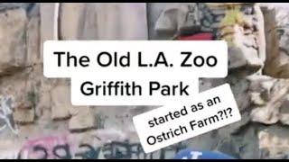 The Old Abandoned Zoo at Griffith Park used to be an Ostrich Farm