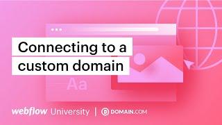 Connecting a custom domain with Domain.com — Webflow tutorial using the Old UI