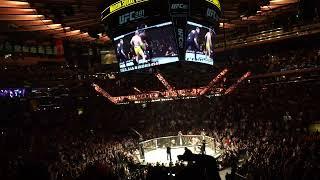 MSG goes nuts when Alex Pereira stops Israel Adesanya in round 5 at #UFC281