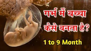 1 से 9 महीने गर्भ में शिशु के विकास का रोचक सफर  1 to 9 month of baby growth during Pregnancy
