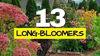 These are the Longest Blooming Perennials in my Garden I Tracked Them All Year