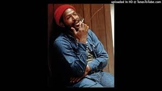 Marvin Gaye Sample Beat I WANT YOU Prod. By TrashBaggBeatz 2023