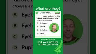 What are the pieces of skin above and below each eye? ️ Woodward English Quiz 196