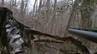 Shotgun Hunting - Doe and 8 point Buck..less than five minutes apart - Real Life Deer Hunting