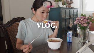 vlog. 일상 브이로그 비가 와도 우릴 막을 수 없어  열심히 촬영하기  키링 조립?하기  복순이와 친해지기