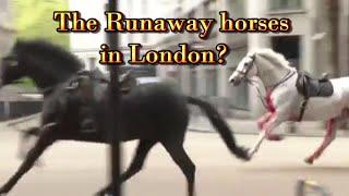 The Runaway horses in London? - A reading with Tarot Cards