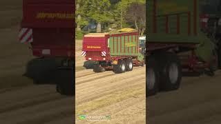 Fendt 900er Traktoren bei der Grassilage-Bergung mit Claas und Strautmann Ladewagen